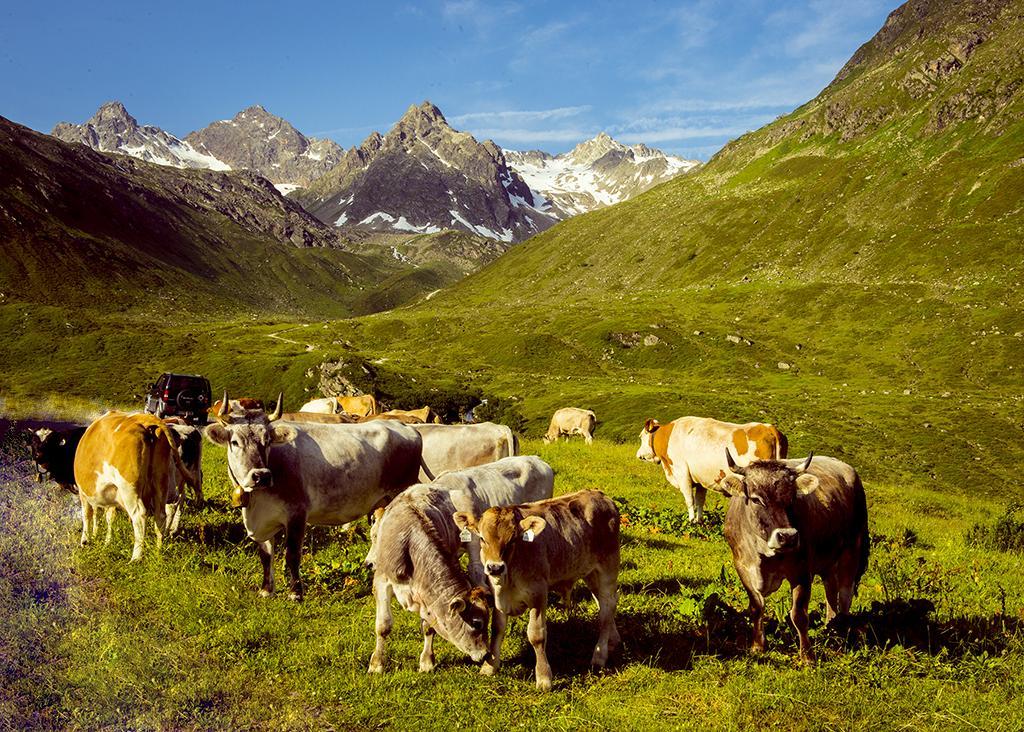 Alpenpension Maderer Gaschurn Exteriör bild